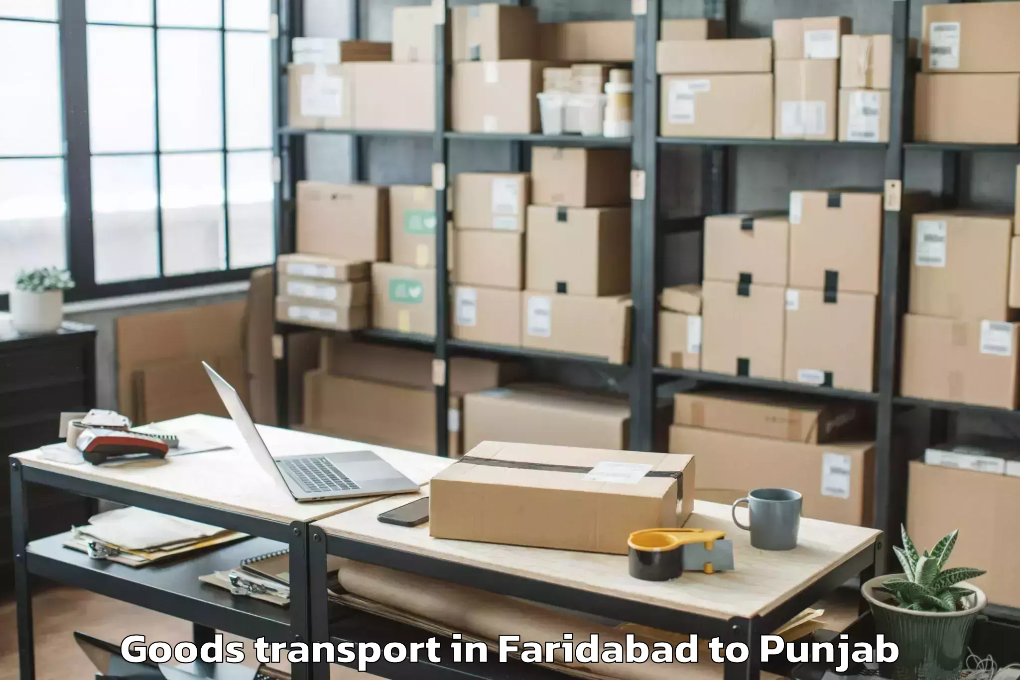 Quality Faridabad to Badhni Kalan Goods Transport